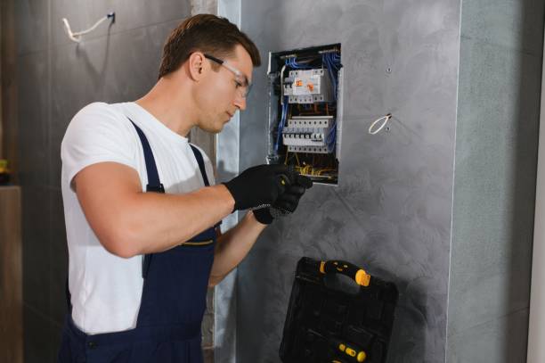 Best Licensed Electrician  in Mcnary, AZ